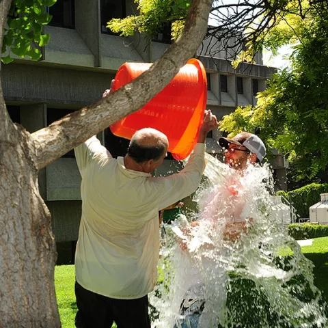 Water warrior Bruce Hammock dumps water on Kevin Cloonan, then a graduate student in the Walter Leal lab. (2012 photo by Kathy Keatley Garvey)