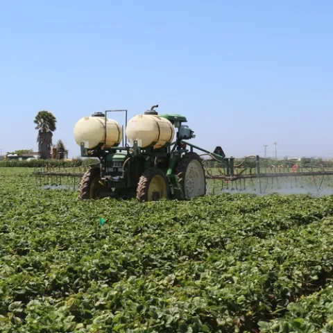 Spraying in the field