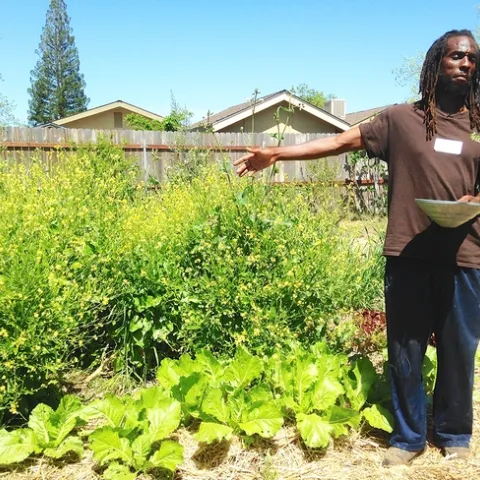 Chanowk Yisrael 4 14 18