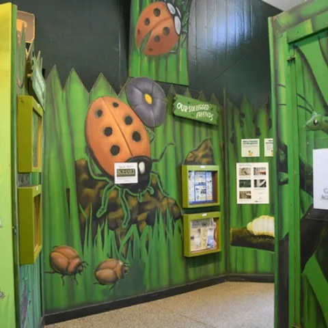 The California State Fair's Insect Pavilion lauded the Bohart Museum of Entomology for donating insect specimens. (Photo by Kathy Keatley Garvey)