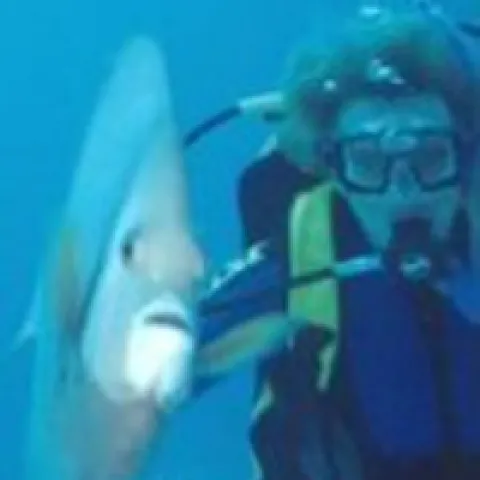 This photo with an angelfish was Michel's ANR directory profile photo.