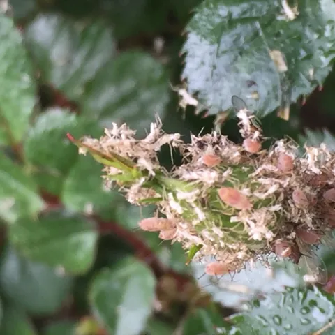 photos by Jennifer Baumbach