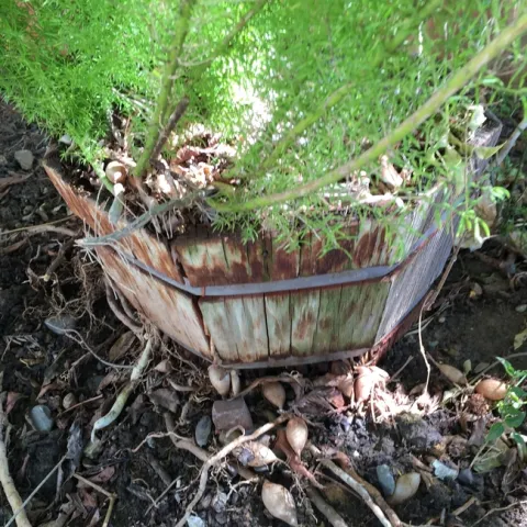 photos by Martha White