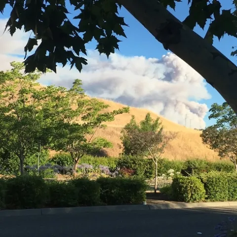 photos by Michelle Davis