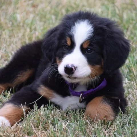 The early days . . . before digging began