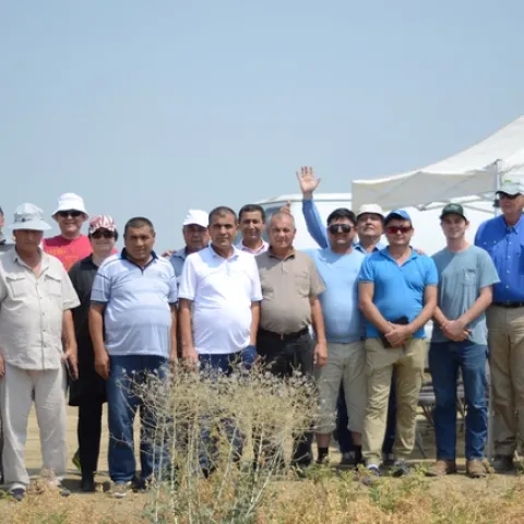 Uzbek visitors tour the UC CASI NRI Project field in Five Points, CA