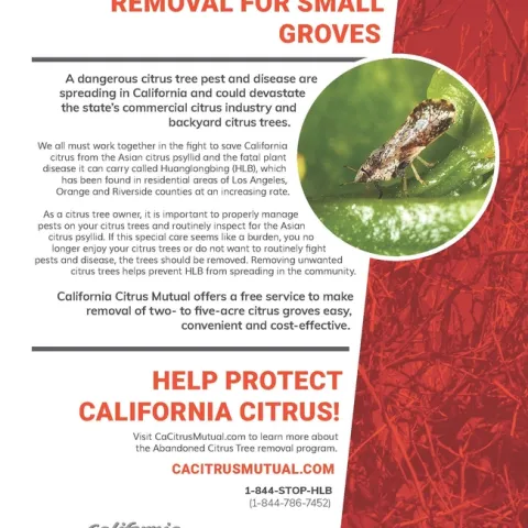 ACT Now Flier FINAL2