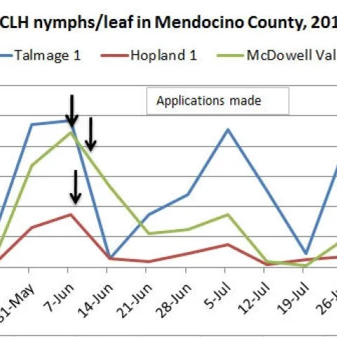 August 3 VCLH nymphs per leaf
