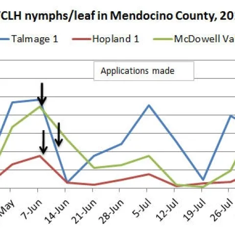 August 9 VCLH nymphs per leaf