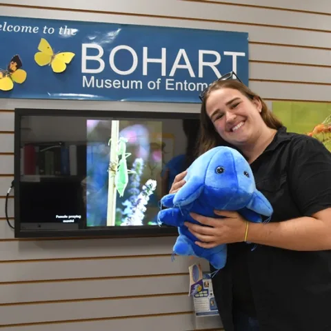 UC Davis student and Bohart associate Emma Cluff holds a plush water bear from the Bohart Museum's gift shop. It costs about $30, plus tax, will all proceeds to finance educational programs at the Bohart. (Photo by Kathy Keatley Garvey)
