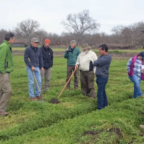 A group of organic farmers, shown above, are working with UC researchers to minimize tillage and optimize soil characteristics on their farms.
