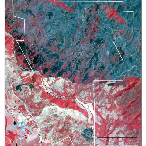 HREC Fieldmap Fires. The red is existing vegetation. Many of the oaks did not burn. Brighter red indicates untouched green foliage, fainter red indicates some damage. Black areas are burnt grasslands, gray areas are primarily  chaparral or chamise.  The two separate black areas are where we did prescribed burns this June. The white spots are ash indicating where a tree did burn. Thanks to Shane Feirer of iGIS for putting this together.