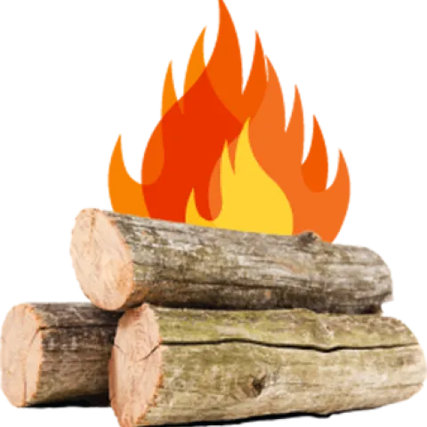 Don't Move Firewood!