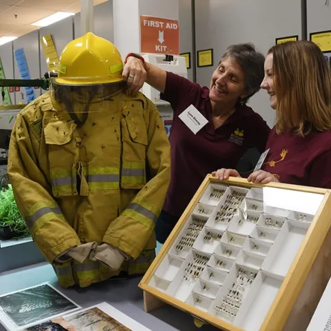 Lynn Kimsey, director of the Bohart Museum of Entomology and animal biology major Crystal Homicz look at the turncoat covered with pinned beetles. (Photo by Kathy Keatley Garvey)