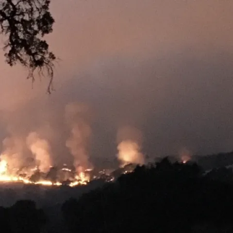 The River Fire created a unique opportunity for fire research at Hopland REC, says John Bailey, interim director.
