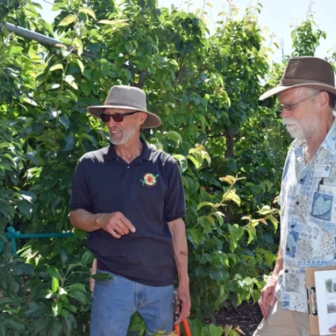 Chuck Ingels, left, presented a workshop on espalier training for fruit trees at Fair Oaks Horticulture Center in May 2018. Photo by Pam Bone