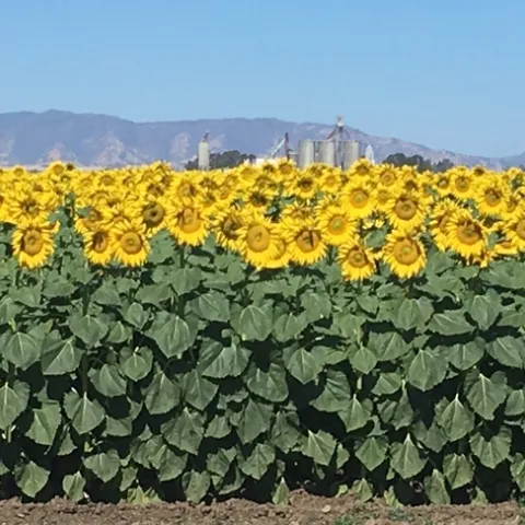 photo by Michelle Davis