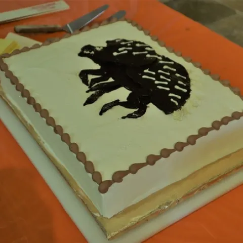 shot hole borer cake