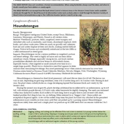 Houndstongue from WRIC pub