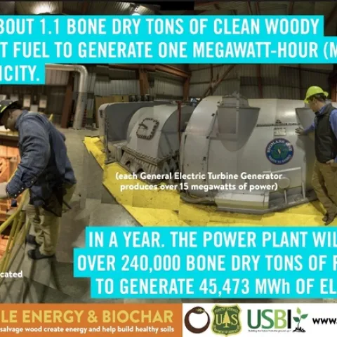 oregon biochar infopic