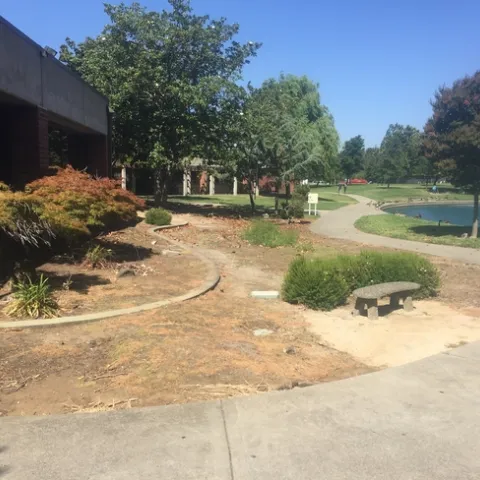 photos by Brenda Altman