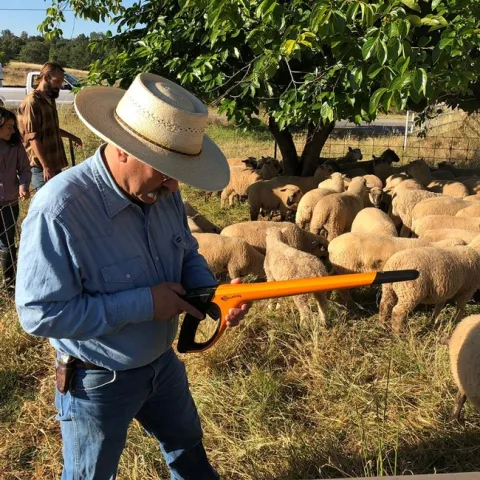 34382447 1916904554989107 7233889571270819840 n