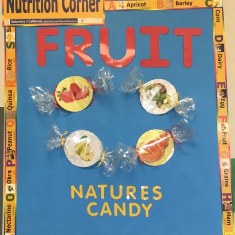 naturescandy
