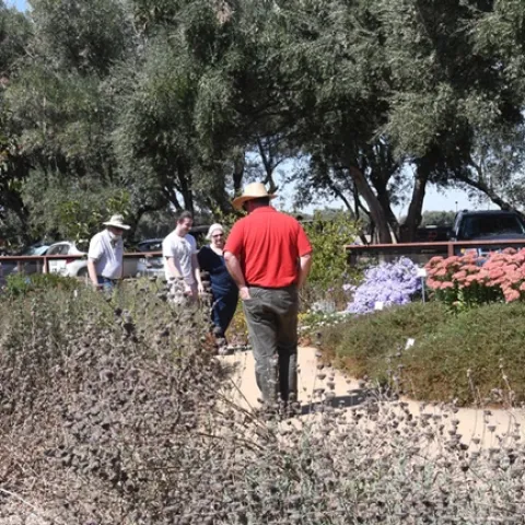 Visitors check out the flowers at the Häagen-Dazs Honey Bee Haven. (Photo by Kathy Keatley Garvey)