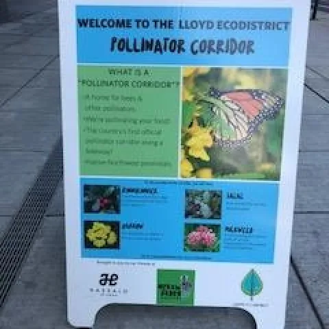 photos by Betty Homer