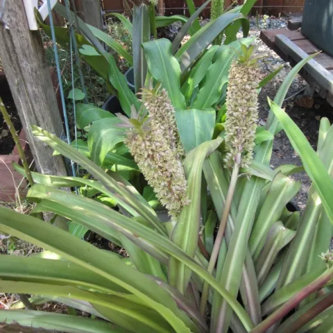 photo by Betsy Buxton