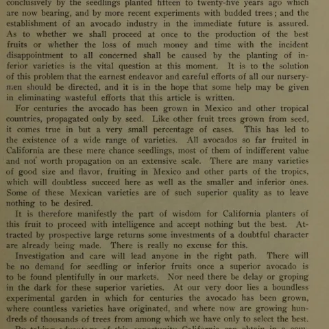 Cover Avocado in Southern California - Wilson Popenoe