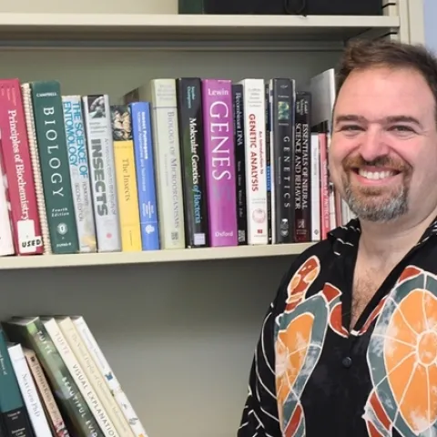 Medical entomologist Geoffrey Attardo in his office. (Photo by Kathy Keatley Garvey)