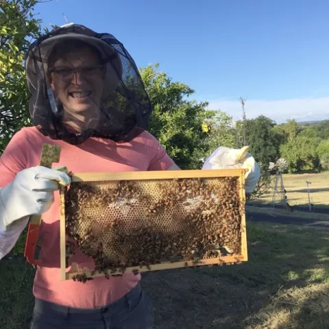 Jonathan Dear, a small animal internal medicine veterinarian and hobbyist beekeeper, holds a frame after inspecting a hive.