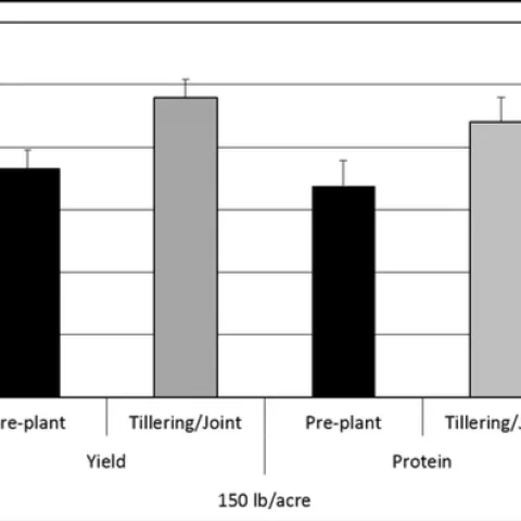 Preplant vs Tillering N Yield