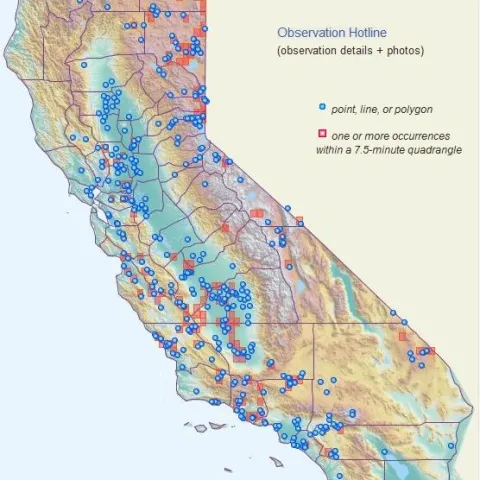 Figure 3: Russian Knapweed Map from CalFlora