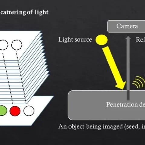 Christian Nansen of the UC Davis Department of Entomology and Nematology, illustrated his research paper, published in PLOS ONE, with this graphic.
