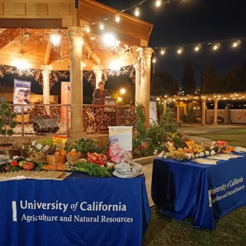 Glenda Humiston addresses the ACE 10 participants at a dinner Oct. 24 in the plaza at Arte Americas museum in Fresno.