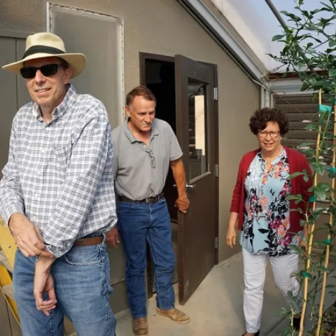 Lindcove REC director Beth Grafton-Cardwell shows vice provost Mark Lagrimini, left, around a citrus green house. Kurt Schmidt, the principal superintendent of agriculture, center, joined them on the tour.