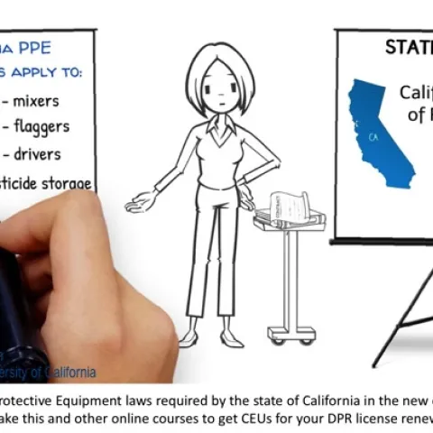 Graphic from online course.