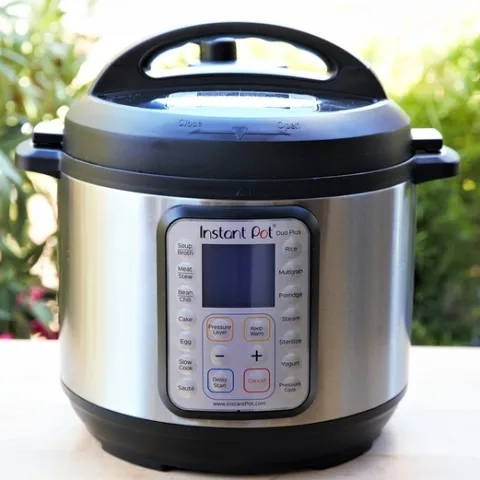 Una típica olla de presión eléctrica. (Fotografía: Max Pixel)