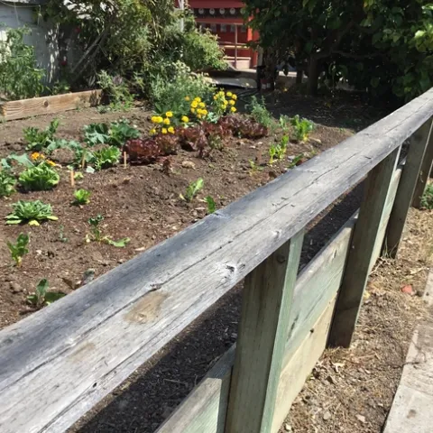 photos by Tina Saravia