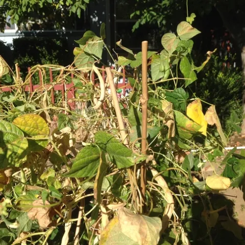 photos by Jenni Dodini