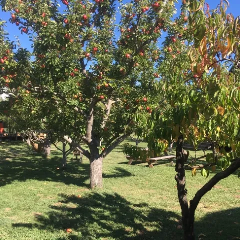 photos by Michelle Davis