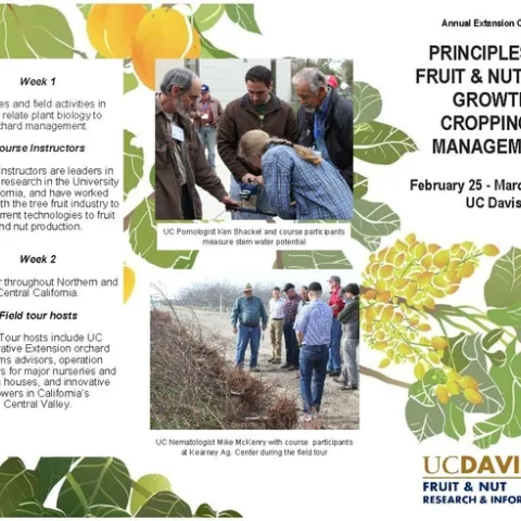 fruit tree class Page 1