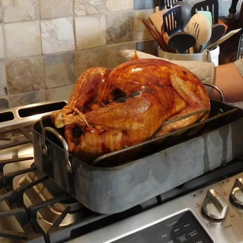 Thanksgiving Turkey