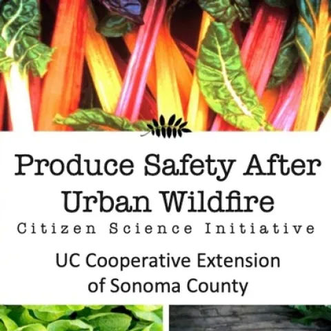 CropSafetyWebsite Banner