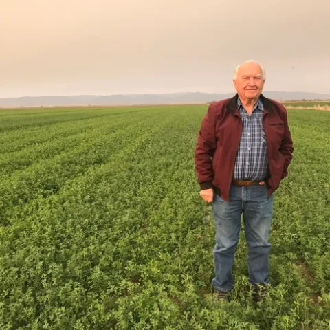 Duane Chamberlain, farmer from Yolo County, California, takes pride in farming quite difficult, class IV heavy clay soils, producing high yields and quality with alfalfa and grass hays destined for the horse and dairy markets. He is a big believer in early fall planting on modified shallow beds for maximizing yields on heavy soils, as in this productive new field in Woodland, CA (November 8, 2018).