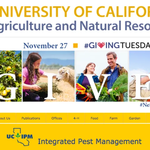 Giving Tuesday UC IPM
