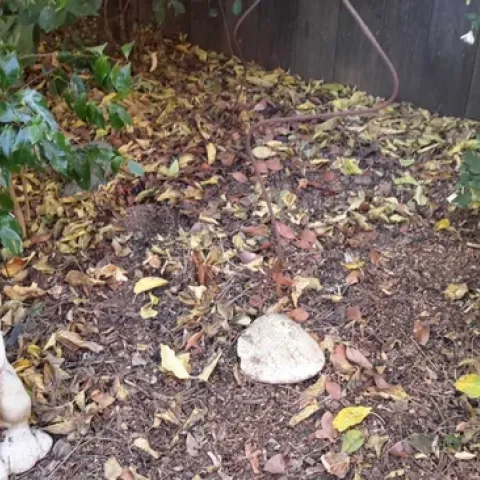 Spot where 'she' lived. (photo by Betty Victor)