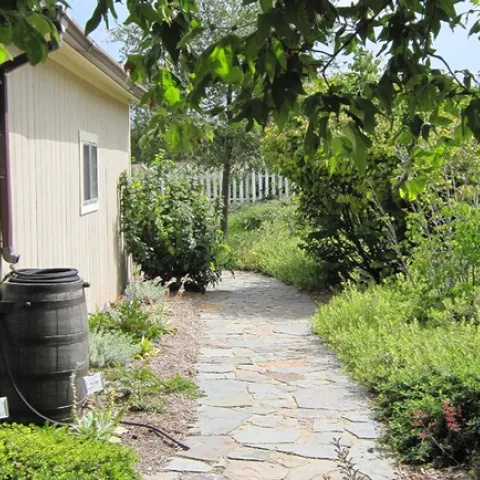 Redirecting runoff with a gutter downspout.